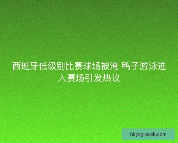 西班牙低级别比赛球场被淹 鸭子游泳进入赛场引发热议